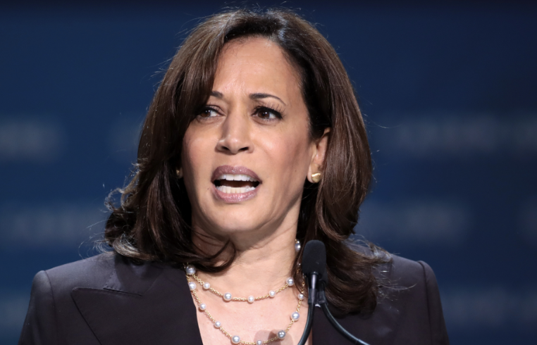 Secret Service Agent Handcuffed After Fight on Kamala’s Secret Service Detail Explodes