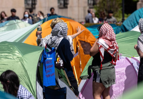 DHS Has Brutal News for Foreign Students Suspended for Anti-Israel Activities