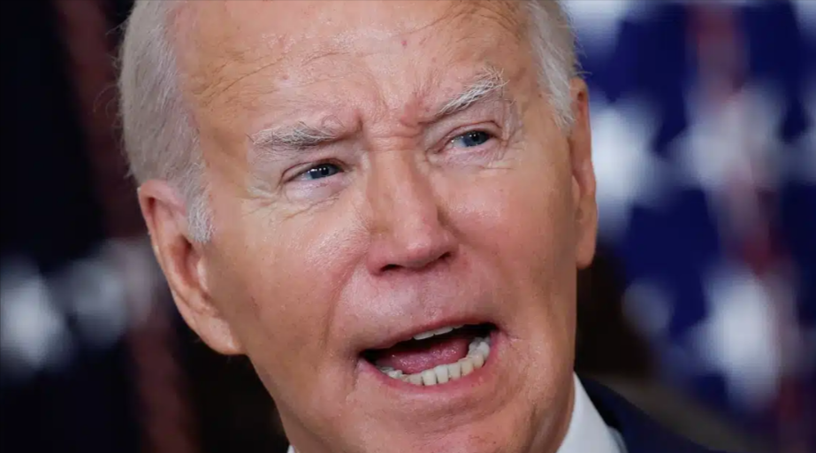 RED ALERT: Secret Biden Election Plan Revealed - Shocking Details