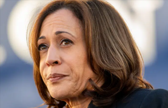 Swing State Voter Reveals Reason Why Harris Won’t Win There