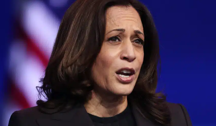 Harris Failed To Combat ‘Root Causes’ Of Illegal Immigration: Former Border Patrol Union Chief