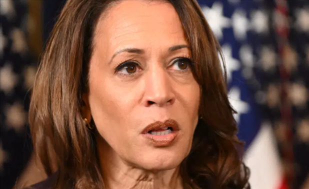 VP Harris Is Tied To Biden’s Failed Economic Policies: Report