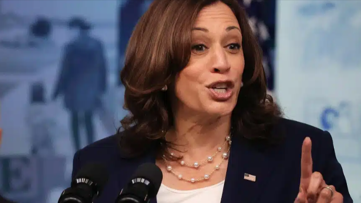 List Of Potential Harris VP Picks Revealed: Report