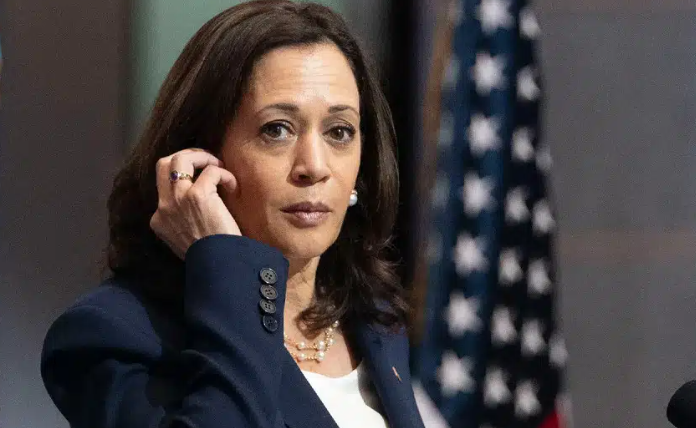 Dems Receive ‘Talking Points’ To Combat Harris’ ‘Border Czar’ Narrative