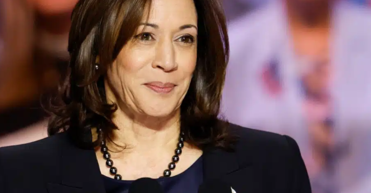 Harris Campaign Narrows Down VP Search To Three Top Contenders