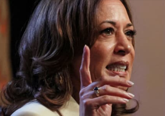 Trump Gets Gargantuan Revenge After Kamala’s Sick Accusation