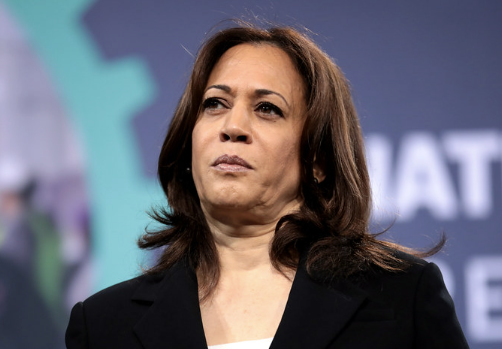 Harris Gives Surprise Speech At DNC, Slammed For Endlessly Laughing