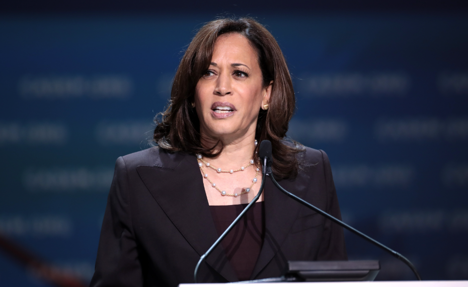 Mainstream Media Fact-Checkers Critique Kamala Harris' DNC Speech