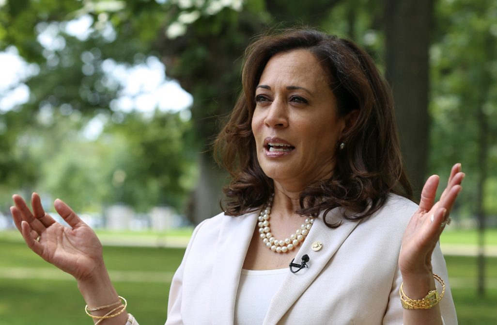 Kamala Harris' Brother-In-Law Allegedly Funneled Billions to Democrat-Aligned Groups: Report