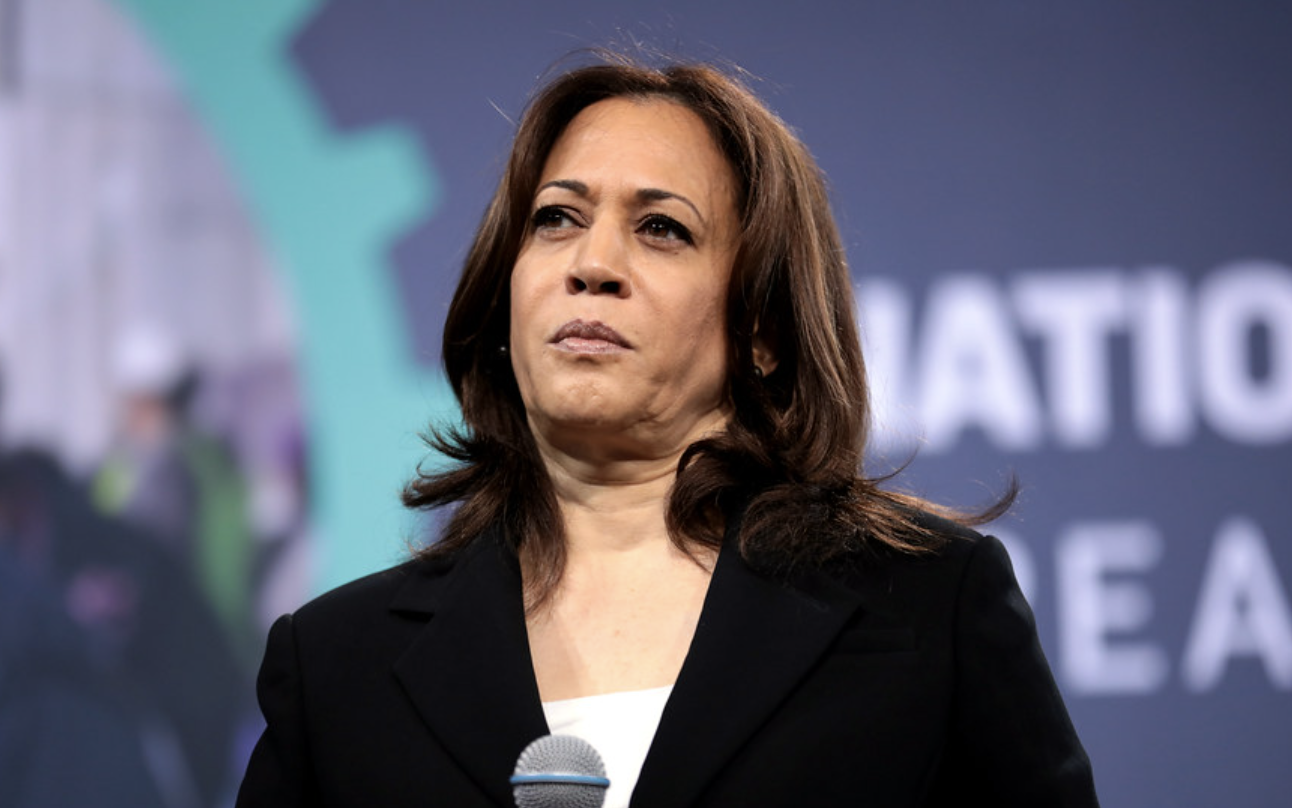 Watch: CNN Contributor Criticizes Kamala Harris Live On-Air, Harshly Critiques Her - 'Incredibly Weak'