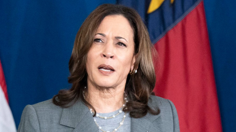 Former Top Biden Official Rejects Harris’ Price-Fixing Plan