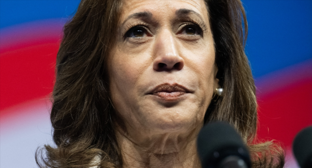 Pollster Frank Luntz ‘Not Impressed’ With VP Harris