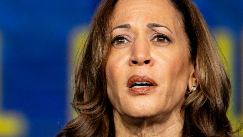 Fox News Airs Montage Of Harris Bragging About Her Progressive Agenda