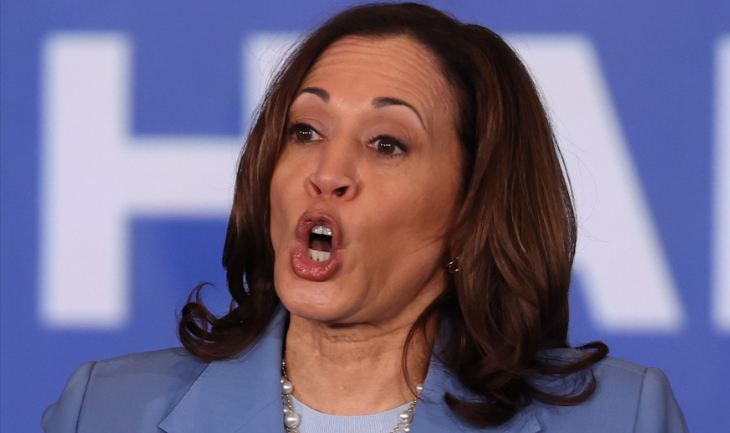 Dem Strategist Sounds Alarm, Says Polls Should Worry Harris Supporters