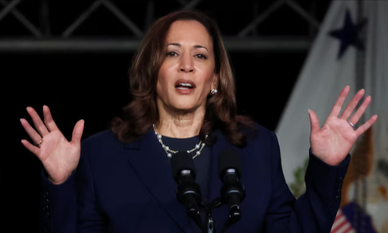 Kamala Harris Interviews Top 3 VP Candidates, Announcement Coming in Next 24 Hours: Report