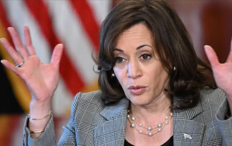 Harris Ripped For Bringing ‘Emotional Support Animal’ to First Interview