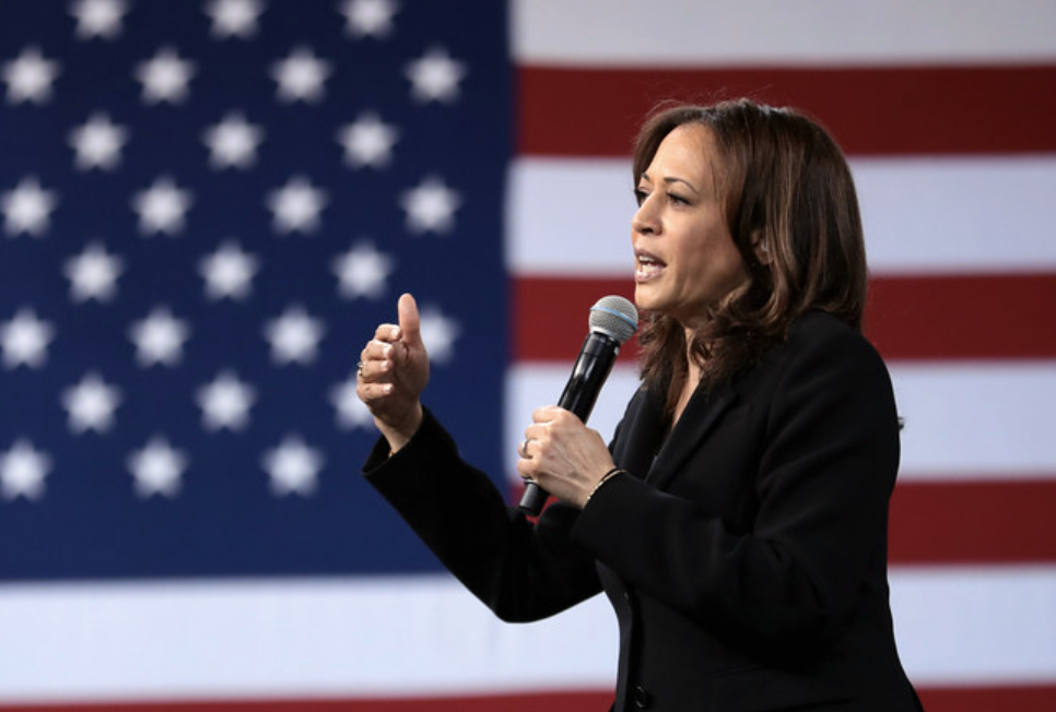 Kamala Harris' Border Visit Backfires Before She Even Arrives - Border Patrol Union Responds