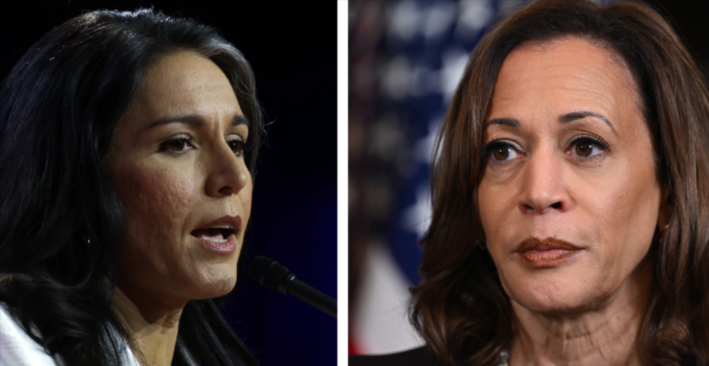 Gabbard Knocks VP Harris Over Lack Of Foreign Policy Chops