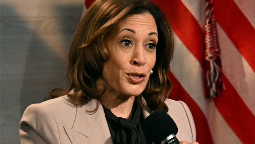 Dems Receive ‘Talking Points’ To Combat Harris’ ‘Border Czar’ Narrative