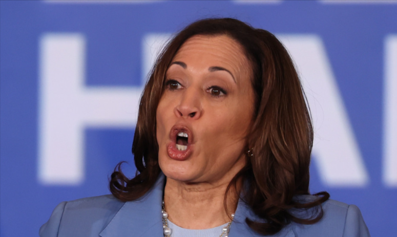 New Polling Indicates Harris ‘Honeymoon’ May Be Over