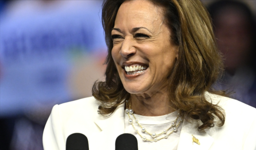 Harris Aides, WH Staff Vilified Her In Book: ‘She Ain’t Made For This’