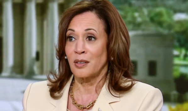 Election Guru Drops Brutal Election Bomb on Kamala Harris as 'Mediocre' Trend Hits Her Hard