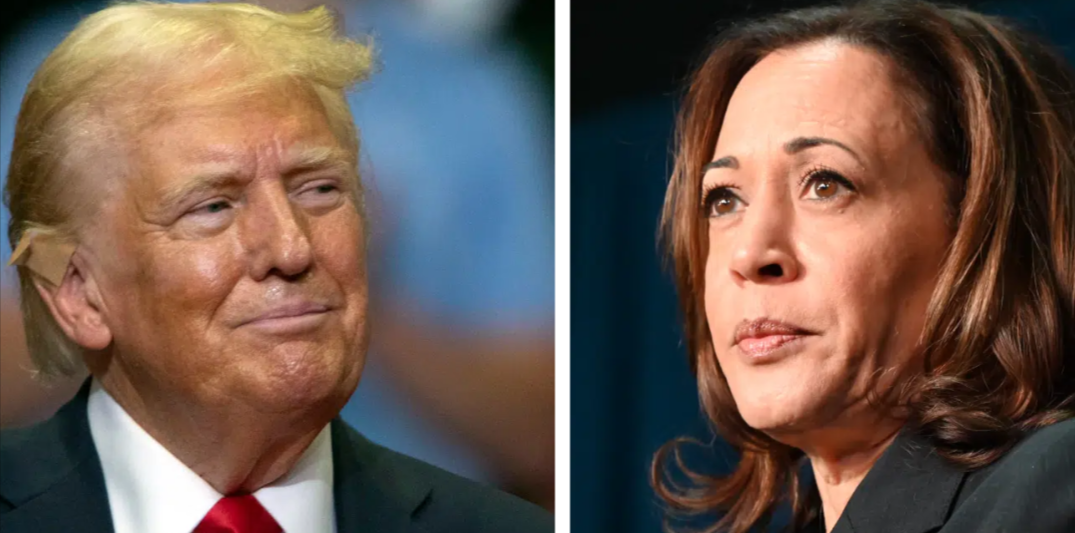 New Polls Show Trump Gaining On Harris In Key Swing States