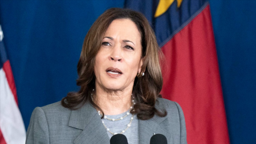 Bellwether Poll Shows Trump Up Big On Kamala Harris