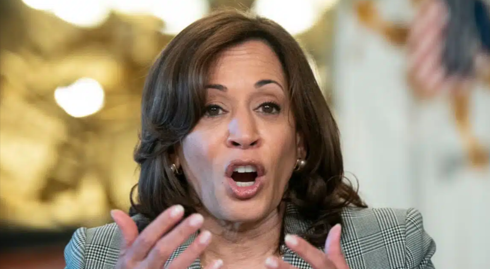 Google Search Functions Heavily Favor Harris Campaign: Study