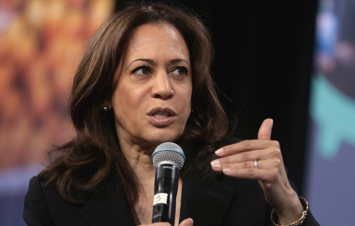 Gingrich: Kamala Harris in ‘Early Stages of Collapse’