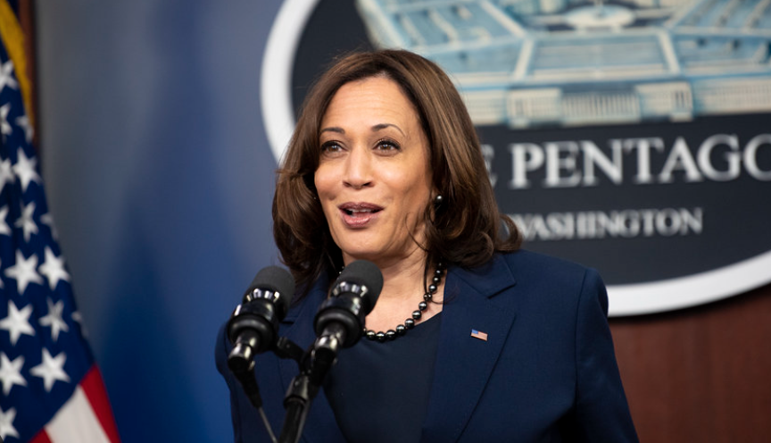 Kamala Harris Almost Has Her Own 'Basket of Deplorables' Moment but Pulls Back