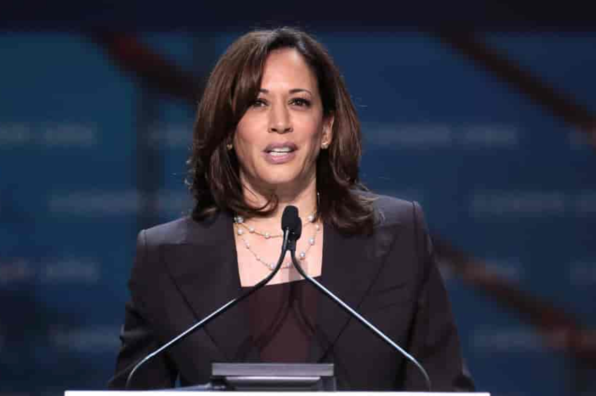 Holocaust Survivor Criticizes Harris’ Final Attempt: 'I Know More About Hitler Than Kamala Could Ever Understand'