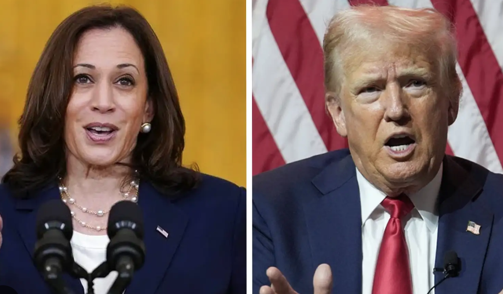 Top 2020 Pollster Releases Final Trump-Harris Election Survey