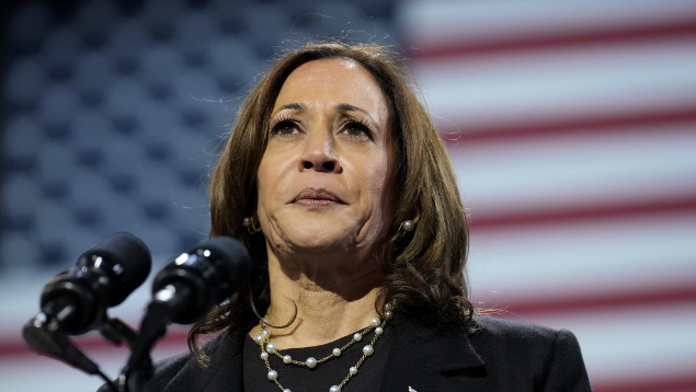 Kamala Harris Hit with Another Plagiarism Allegation a Day After Scandal Erupts: 'We Can Keep This Going'