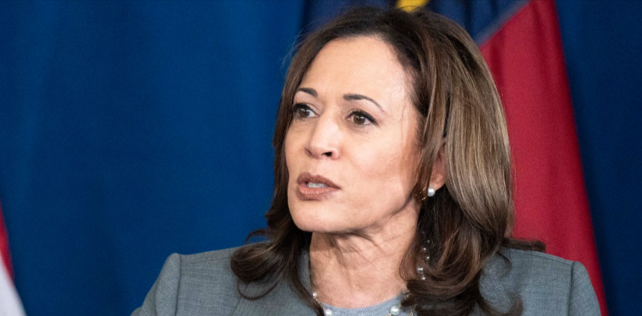 Harris’ Black Voter ‘Giveaway’ Is Proveably Unconstitutional: Op-Ed