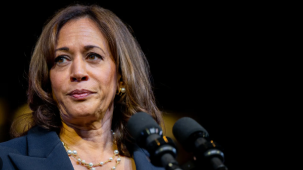 Reporter Confronts Harris Over Israel-Hamas War, Wonders If She Could ‘Lose’ Election Over It