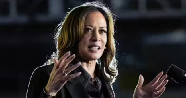 Kamala Harris' Publisher in 'Damage Control Mode,' Accidentally Leaks Internal Message About Plagiarism Scandal: Report