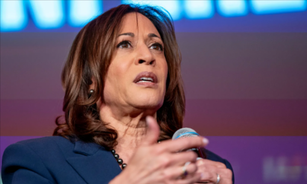 CNN Guest Warns Harris Campaign Is Falling Behind: 'Kamala Started This Campaign so Late'