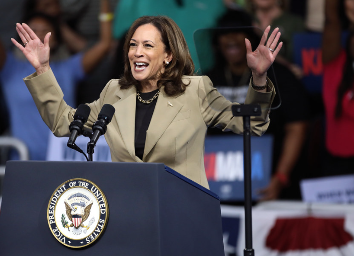 Every American Should Witness This Ex-Dem A/C Repairman School MSNBC on Why Kamala Lost