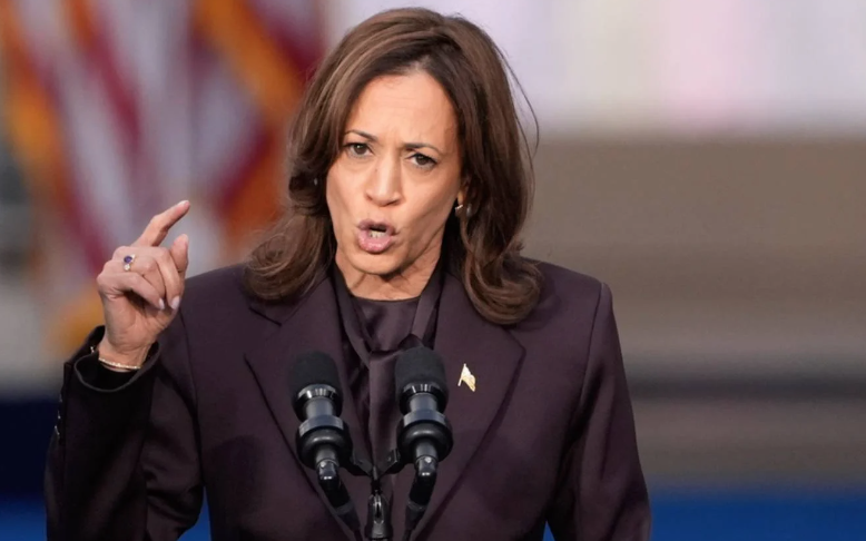 Harris Campaign Fundraiser Claims She Was 'Misled' by Senior Officials, Describes Effort as 'Epic Disaster'