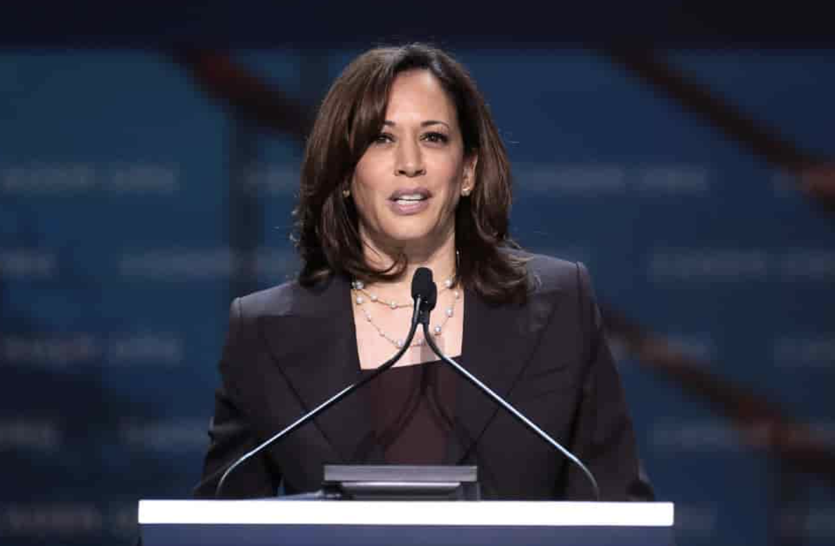 Kamala Harris Surrogate Turns Against the Campaign: 'A Lot of Us Were Misled'