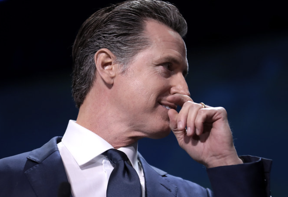 'Foolish' Newsom Faces Backlash From His Own Party After Latest Snub of Elon Musk