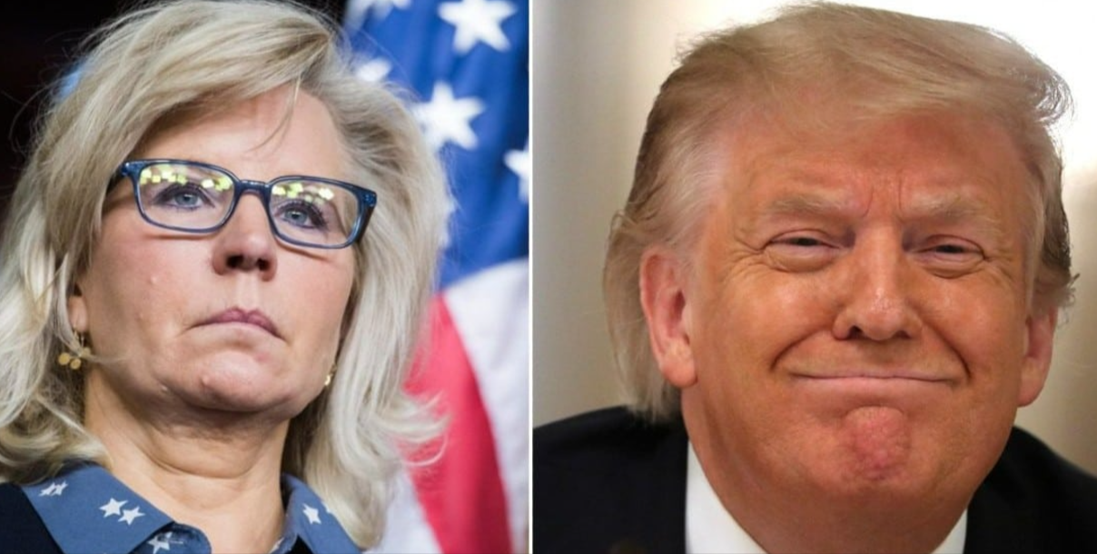 New Poll Shows Liz Cheney Damaged Harris Campaign In Key Swing States