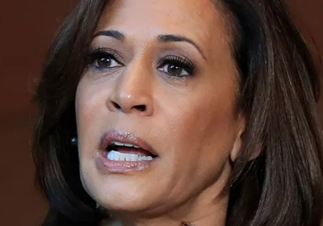 Kamala Harris’ Ex Criticizes Her Campaign: ‘Not One of Them Got it Right’