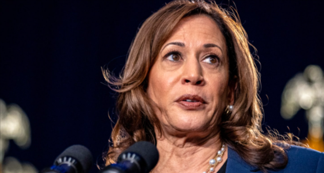 Kamala's Election Loss Looks Even More Painful as $20M Problem Looms: Report