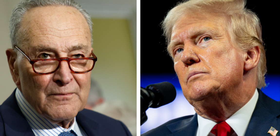 Schumer Says Dems Will Use Federal Courts To Thwart Trump