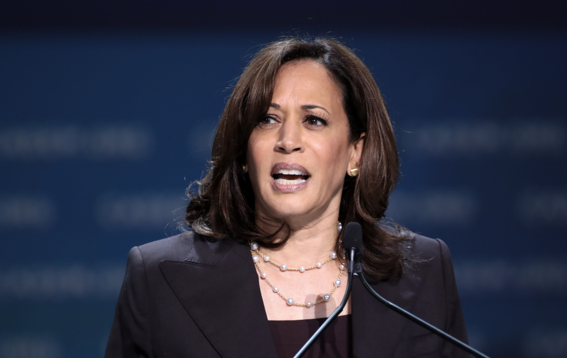 Harris’ Post-Election Fundraising Sparks Worries Among Democrats: ‘Erodes Trust’