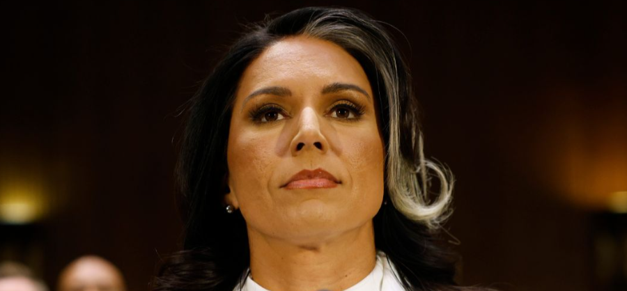 Intel Officials Caught 'Attempting to Undermine' DNI Tulsi Gabbard 'from Within': Report