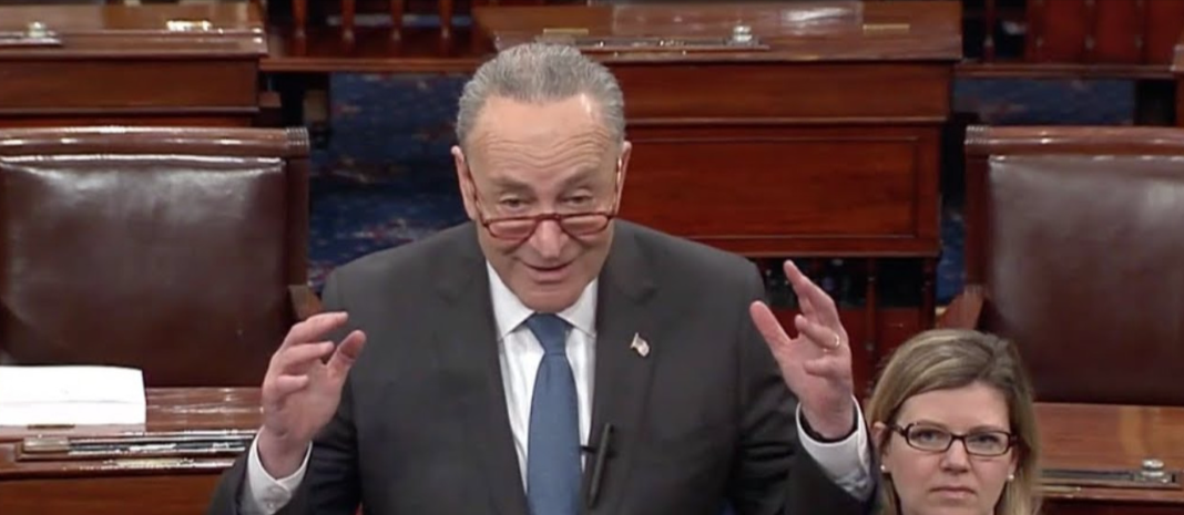 Chuck Schumer Has Temper Tantrum on Senate Floor Over Trump