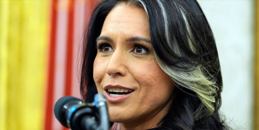 Gabbard Moves at Speed of Light, Fires Officials from Perverse Trans Chatrooms, Gives Them Extra Parting Gift, Too